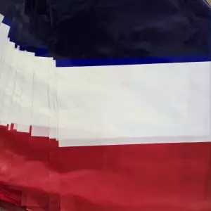 Franse Vlaggenlijn - 10 Meter - Weerbestendig